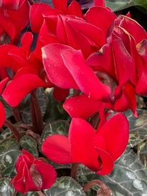 ���ε����β���