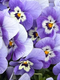 ���ε����β���