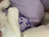 ���ε����β���