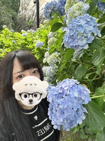 ���ε����β���