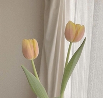 ���ε����β���