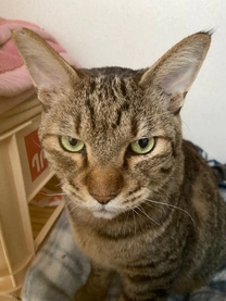 �Ⴊ�p���p��