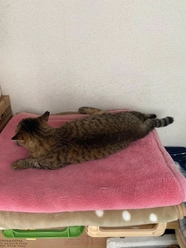 ���ε����β���