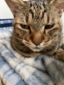 ���ε����β���