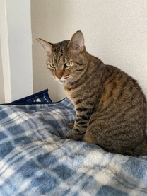 ������18������