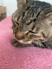 ���ε����β���