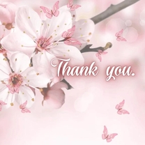 ���ε����β���