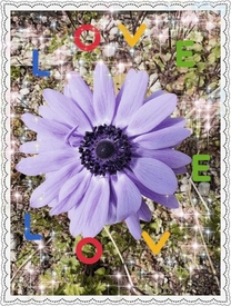 �u���O�摜