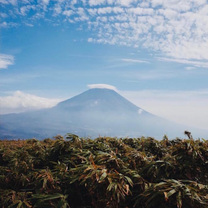 �u���O�摜