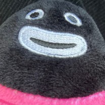 �ǂ�����...