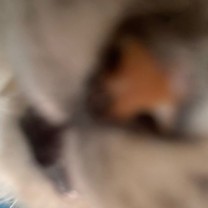 ��T����...