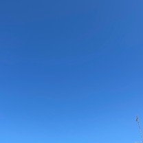 ���̓V�G�c...