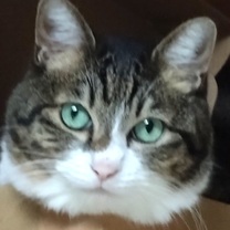 ����ɂ�...