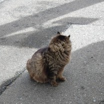 �n��j��...