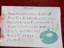 �u���O�摜