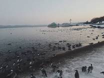 �u���O�摜