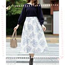 �u���O�摜