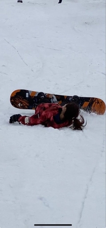 ����ƍ���̗\��