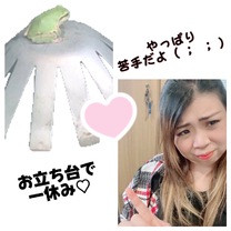 �u���O�摜