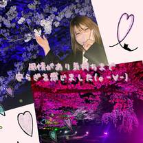 �u���O�摜