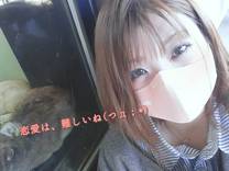 �u���O�摜