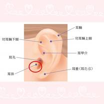 �u���O�摜