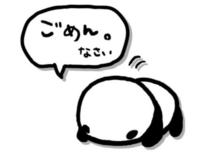 y݂c