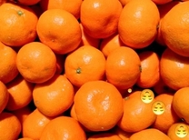 ���ε����β���