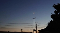 �u���O�摜