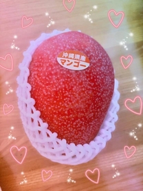�u���O�摜