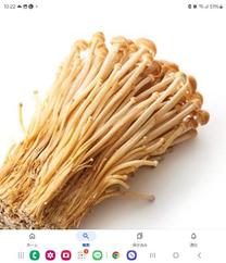 εβ