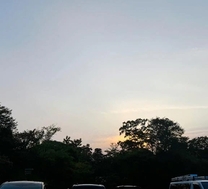 �����V�C�ɂȂ���`�̉摜