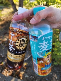 �u���O�摜