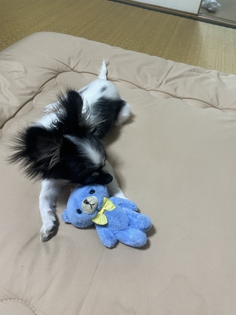 写真