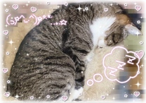 ���N����...