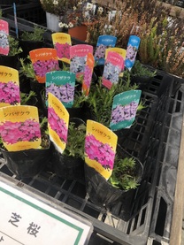 ����̎��Ԃł�