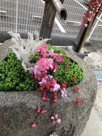 �T���L���[