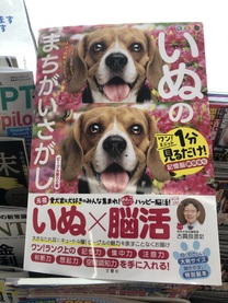 �u���O�摜