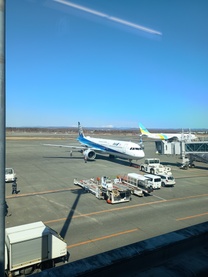 �u���O�摜
