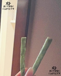 �u���O�摜