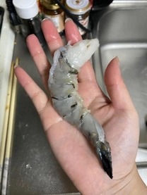 ������u...