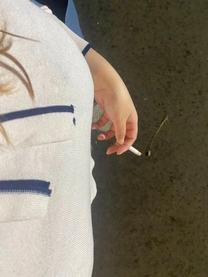 �u���O�摜