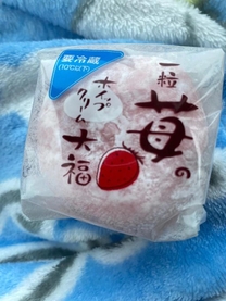 �u���O�摜