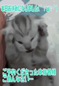 �u���O�摜