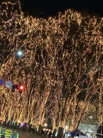 �u���O�摜