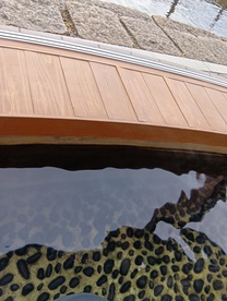 �u���O�摜