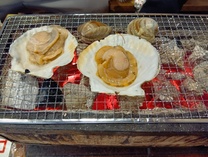 �u���O�摜