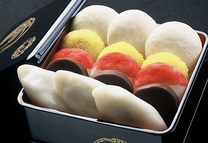 �u���O�摜