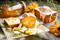 �u���O�摜