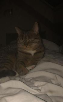 ǂ...